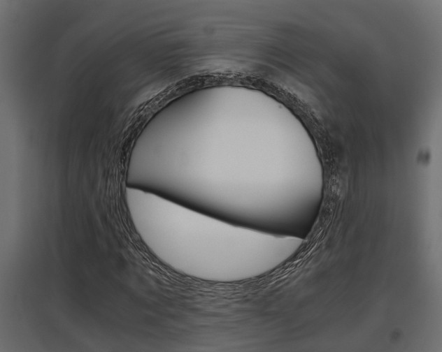 X0000097760869200803070834