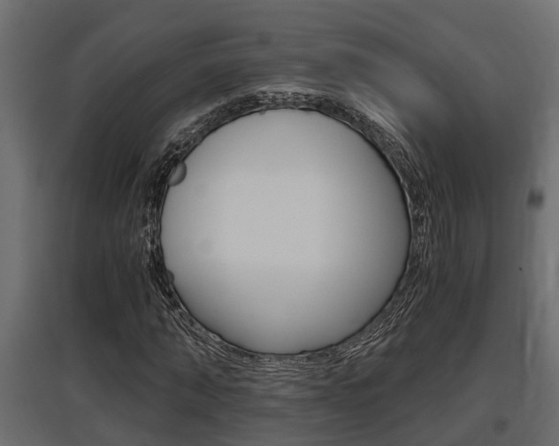 X0000097760870200803070834