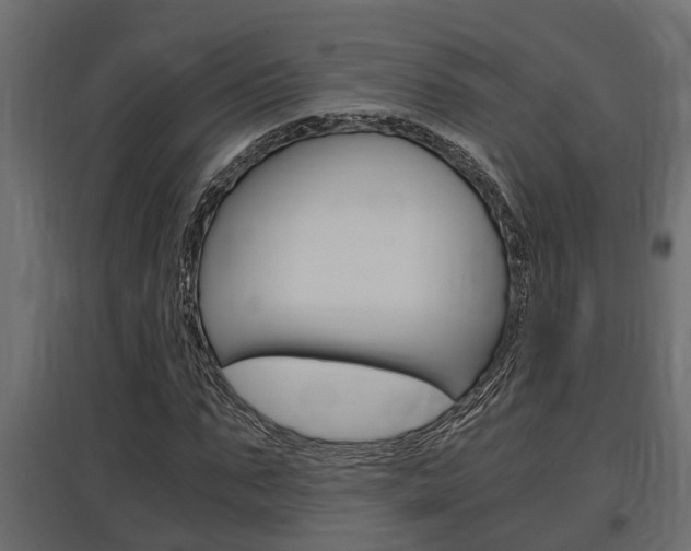 X0000097760871200803070834