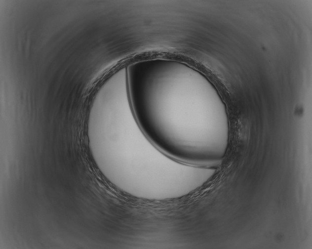 X0000097760872200803070834