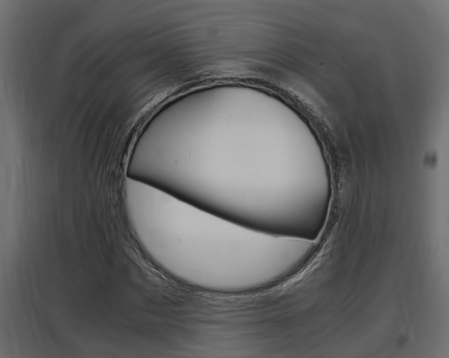 X0000097760873200803070834