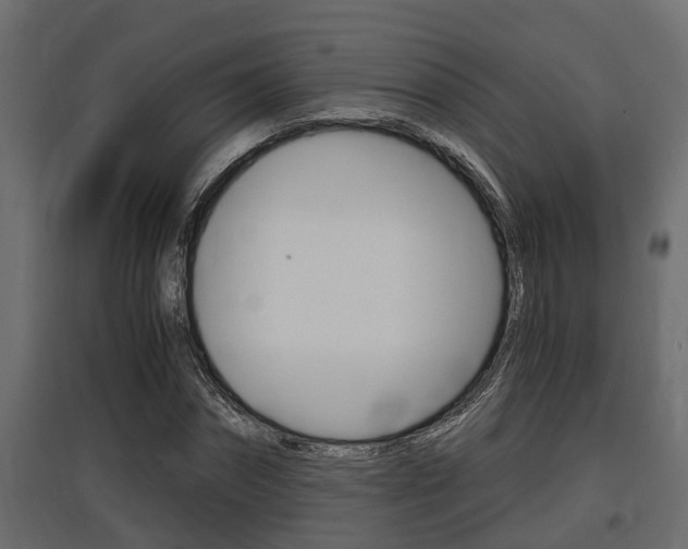 X0000097760874200803070834