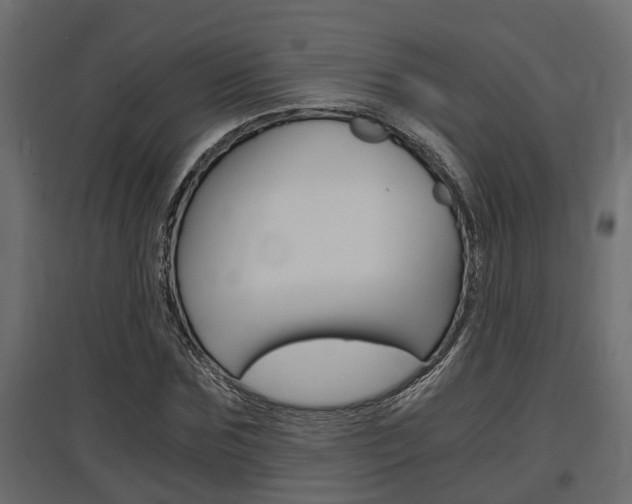 X0000097760875200803070834