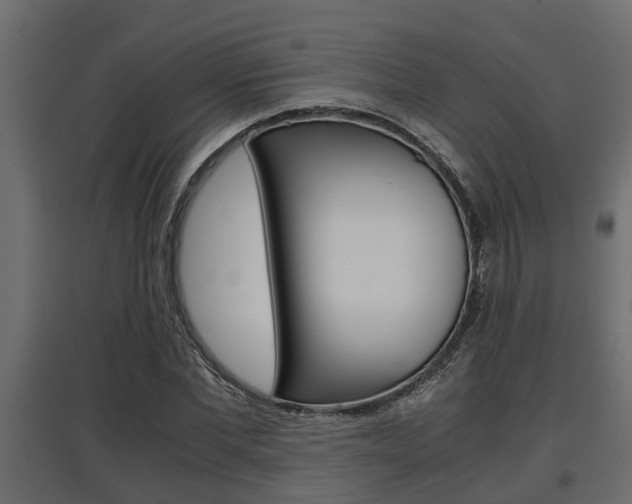 X0000097760877200803070834