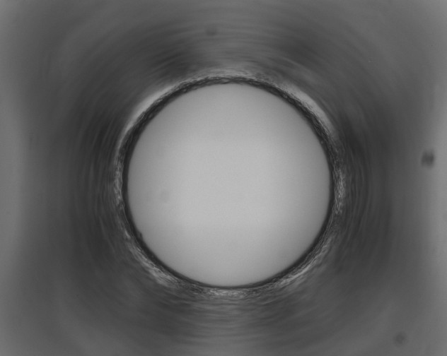 X0000097760878200803070834