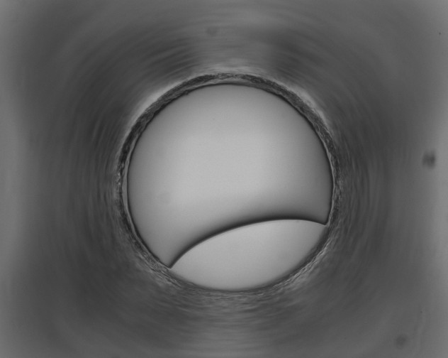 X0000097760879200803070834