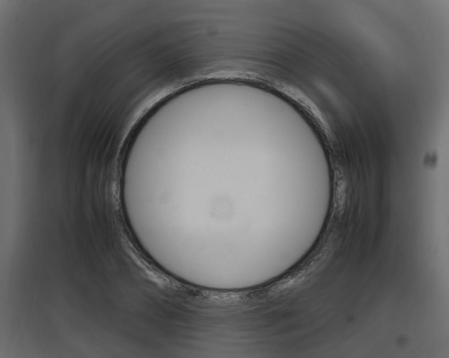 X0000097760882200803070834