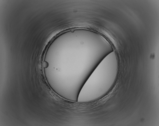 X0000097760883200803070834