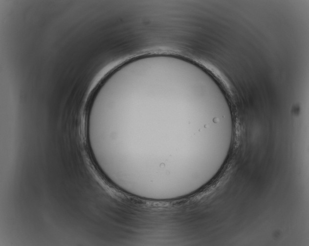 X0000097760886200803070834