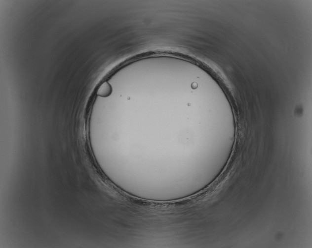 X0000097760887200803070834