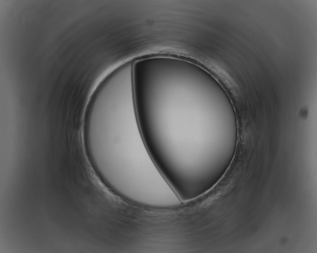 X0000097760888200803070834