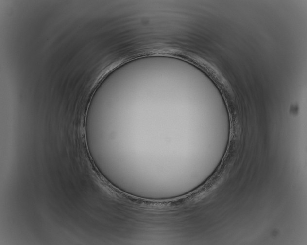 X0000097760889200803070834