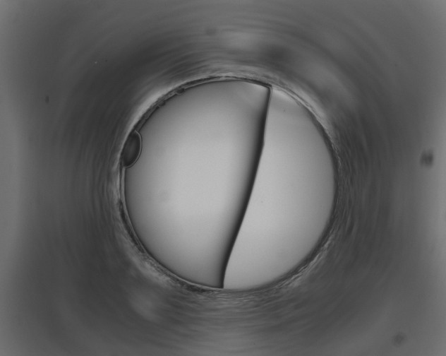 X0000097760891200803070834