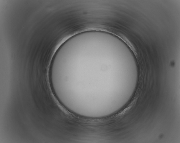 X0000097760893200803070834