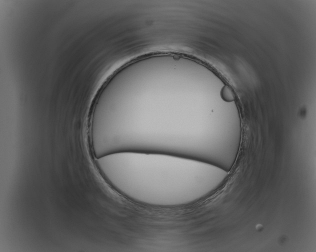 X0000097760895200803070834
