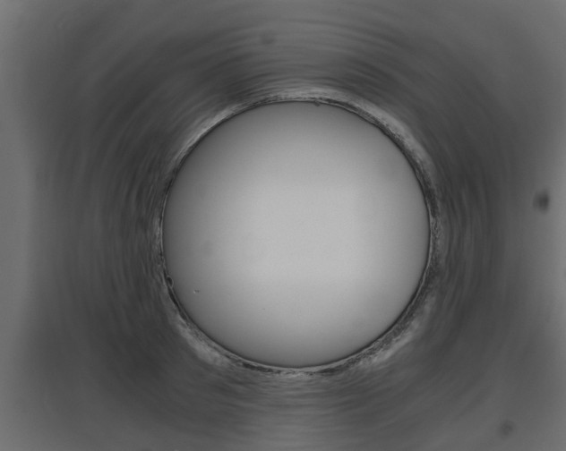 X0000097760897200803070834