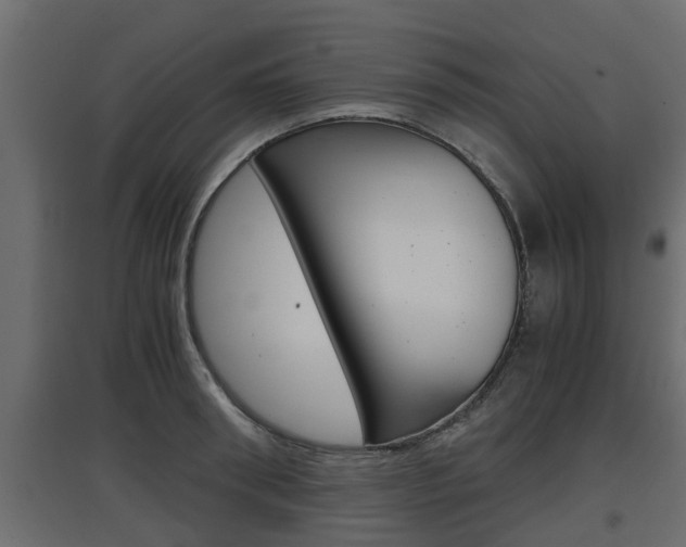 X0000097760898200803070834