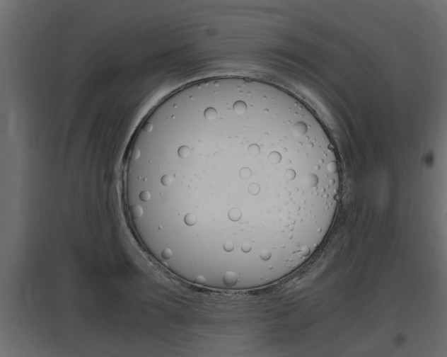 X0000097760899200803070834