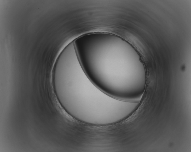 X0000097760900200803070834
