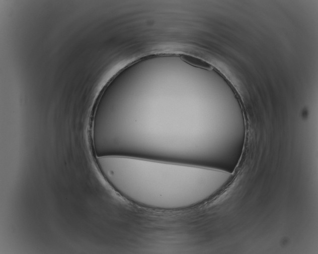 X0000097760901200803070834