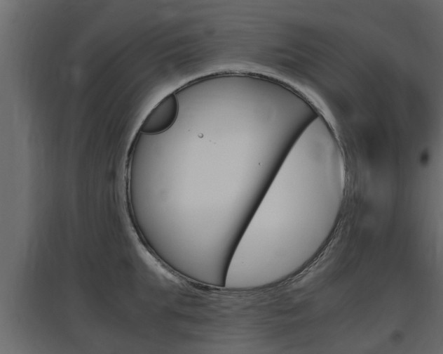 X0000097760903200803070834