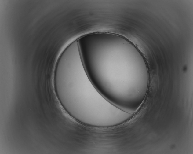 X0000097760904200803070834