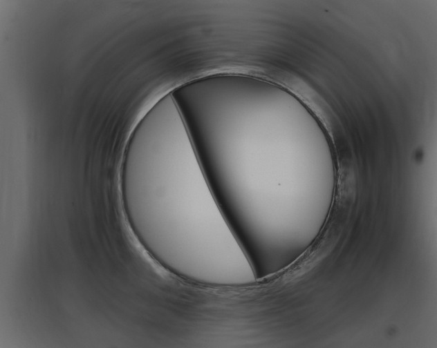X0000097760906200803070834