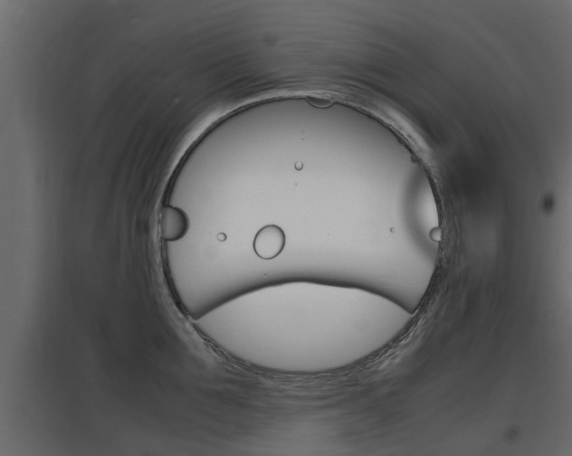 X0000097760907200803070834