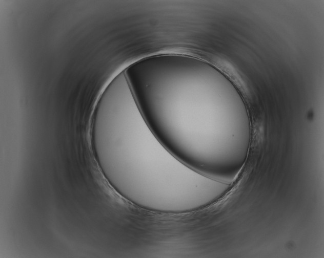 X0000097760908200803070834