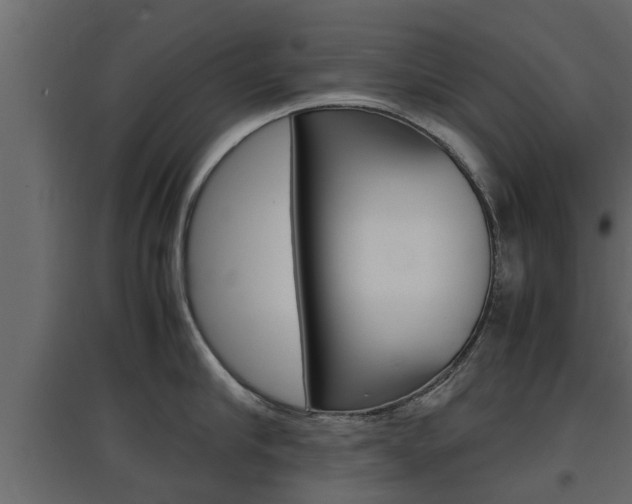X0000097760910200803070834