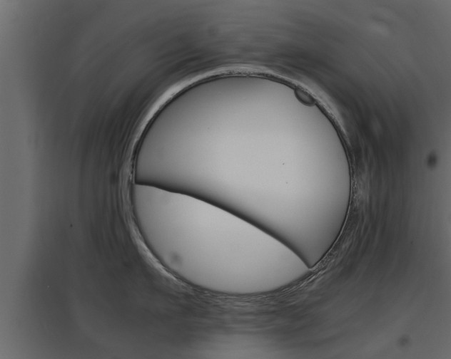 X0000097760911200803070834