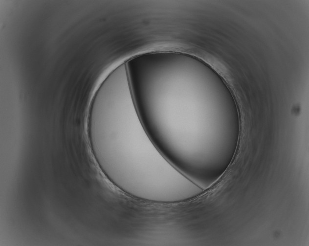 X0000097760912200803070834