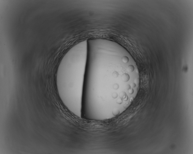 X0000097760913200803070833