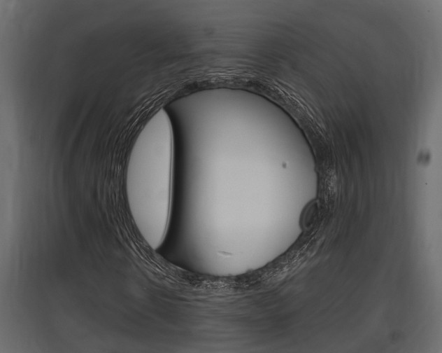 X0000097760914200803070833