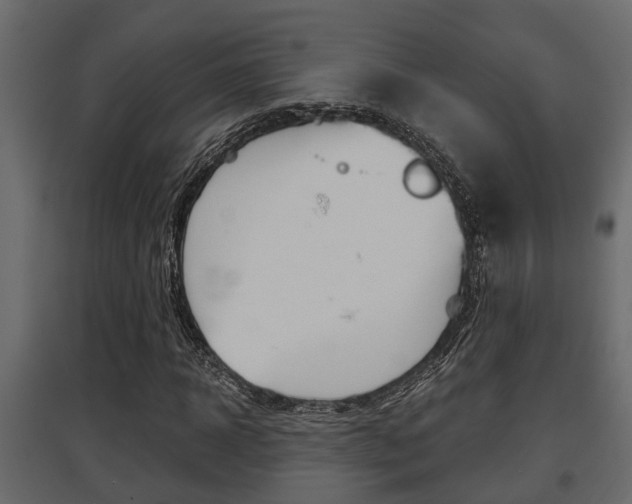 X0000097760918200803070833
