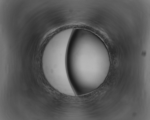 X0000097760920200803070833