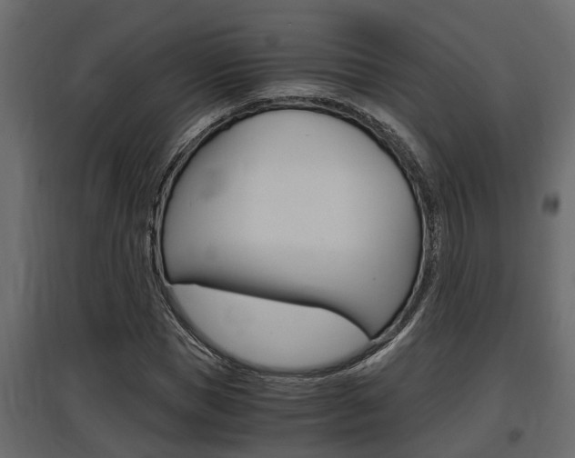 X0000097760921200803070833