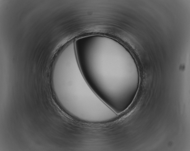 X0000097760922200803070833