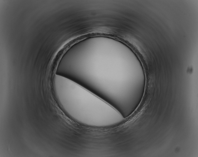 X0000097760923200803070833