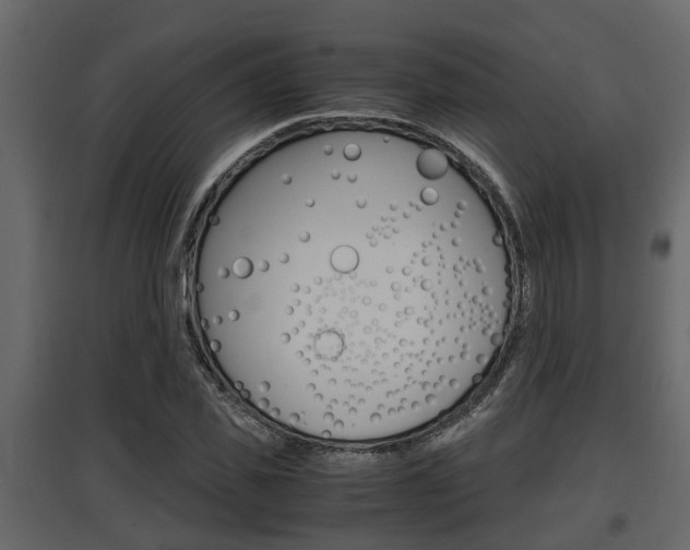 X0000097760925200803070833