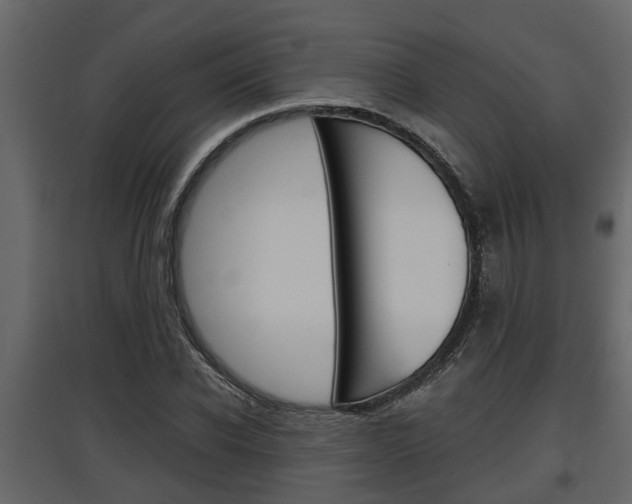 X0000097760926200803070833
