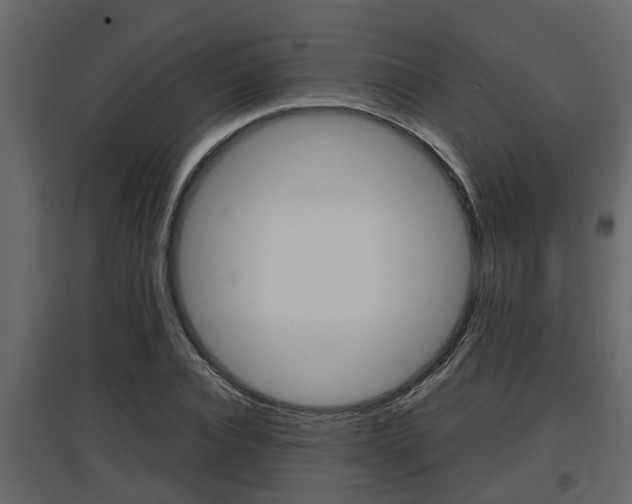 X0000097760928200803070833