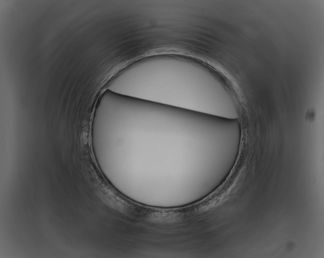 X0000097760929200803070833