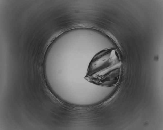 X0000097760930200803070833