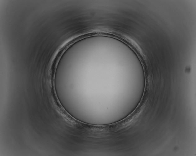 X0000097760931200803070833