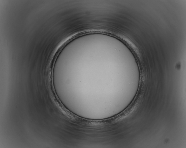 X0000097760933200803070833