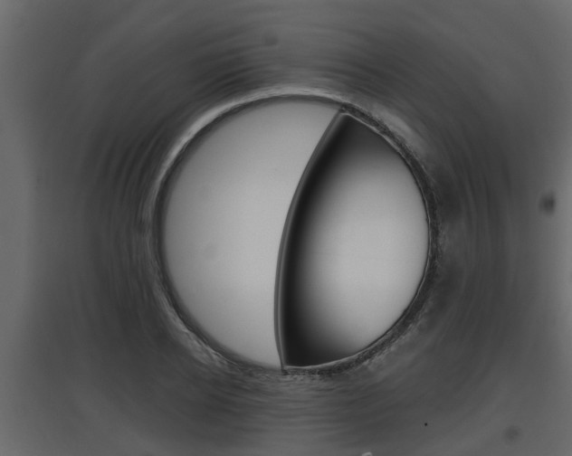X0000097760934200803070833