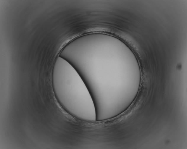 X0000097760937200803070833