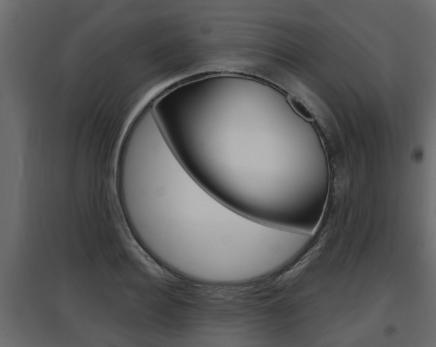 X0000097760940200803070833