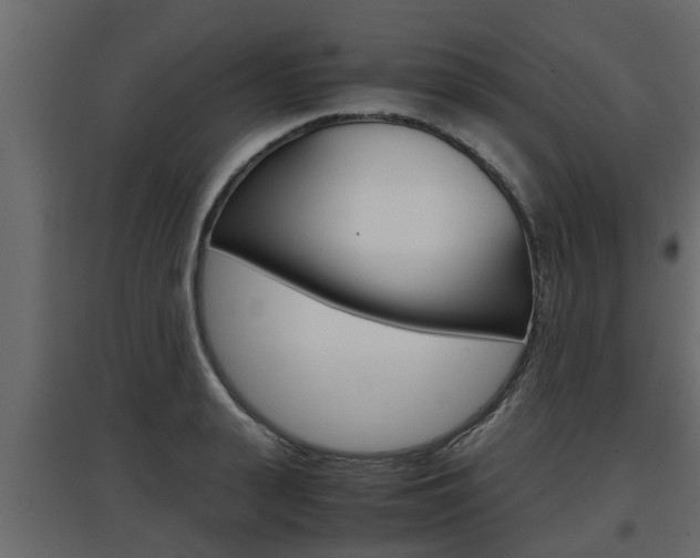 X0000097760943200803070833